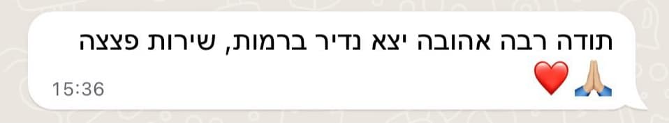 המלצה 8